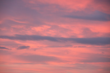 Dreamy evening sky  in pastel tones with fluffy pink clouds at sunset