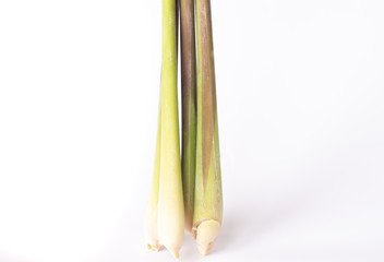 Green lemongrass on white background.