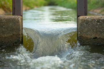 The water flows through the floodgates in the irrigation canals.