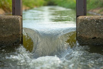 The water flows through the floodgates in the irrigation canals.