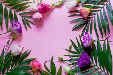 Tender white and pink eustoma flowers on pink background with palm leaves, flat lay