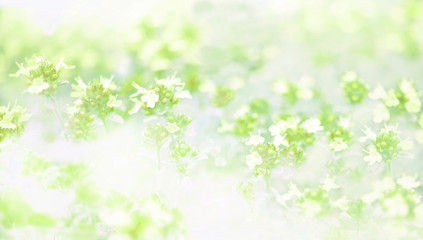 Fototapeta na wymiar Green background with flowers