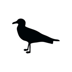 Seagull silhouette Isolated on a white background. Standing sea gull .Vector