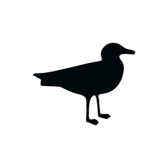 Seagull silhouette Isolated on a white background. Standing sea gull .Vector - 322510890