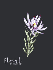 Colorful flower on dark background,Flowers watercolor illustration,leaves and floral，Design for textile, wallpapers