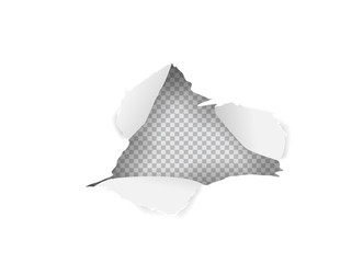 Torn paper  hole in white sheet of paper on isolated background. Vector Transparent illustration.