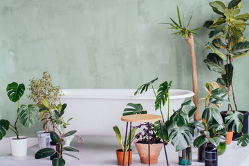 Stylish interior of bathroom with green houseplants