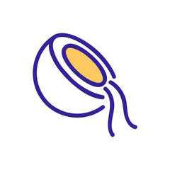 Coconut icon vector. Thin line sign. Isolated contour symbol illustration