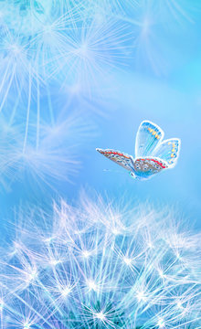 Fototapeta Beautiful dandelion seeds closeup blowing and butterfly on light blue vertical background. Soft pastel toned. Macro with soft focus. Artistic image of spring. Nature template