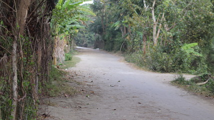 Road in Manpura Island, bangladesh