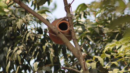 local barometer  in Monpura Island in Bangladesh