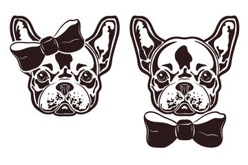 French_Bulldog_3