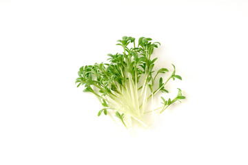 Watercress salad micro greens on white background. Organic raw vegan healthy food. Vegan dinner...