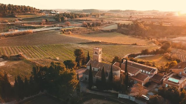 Vineyards in the area of Alt Penedes, in the province of Barcelona.