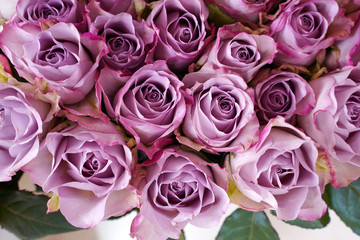 bouquet of pale pink roses