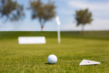 Golf ball on the grass, playing area