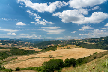 Fototapeta na wymiar Rural landscape in Basilicata at summer near Melfi