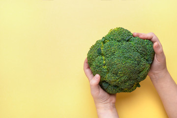 Broccoli in children's hands on a yellow background