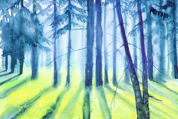 Watercolor illustration of a beautiful Russian forest at sunset