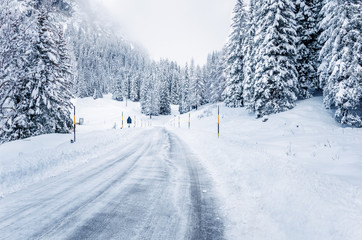 Icy road through a snowy forest in the Alps on a foggy winter day