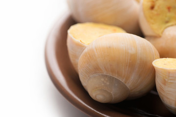still life of stuffed snail sauce, on a white background