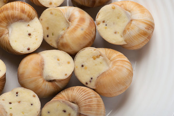 still life of stuffed snail sauce, on a white background