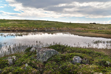 Landscape with lake in the desert tundra in the north of Russia