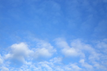Naklejka na ściany i meble fluffy white cloud on clear blue sky