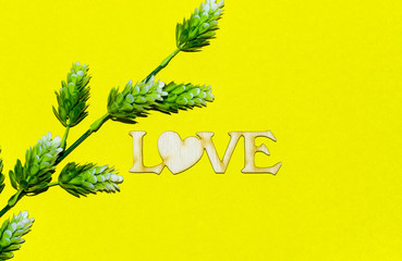 inscription love lettering and green branch on a yellow background