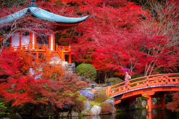 Fototapeta premium Japanese girl in kimono dress and Autumn park