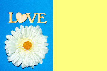 word love and big daisy flower, greeting card with place for an inscription