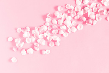 Flowers composition romantic. Pink background and pink petals of rose flowers. Wedding. Birthday. Happy woman's day. Mothers Day. Valentine's Day. Flat lay, top view, copy space
