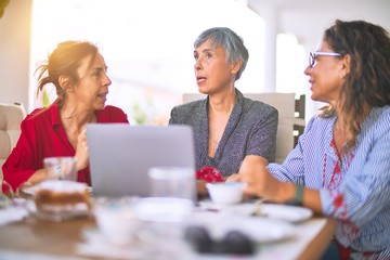 Fototapeta premium Meeting of middle age women having lunch and drinking coffee. Mature friends smiling happy using laptop at home on a sunny day