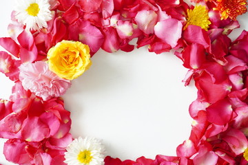 Beautiful flowers on a white background