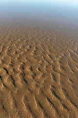 beach sand at low tide