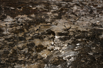 wood texture ,abstract background