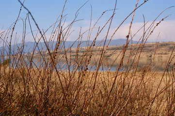 Obraz premium Beautiful Landscape On The Lake 