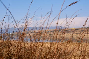 Obraz premium Beautiful Landscape On The Lake 