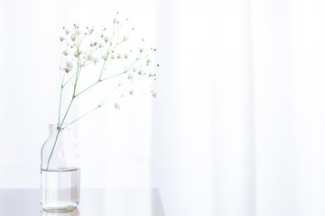 部屋の花瓶に飾ったかすみ草の一輪挿し