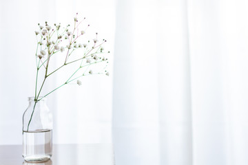 部屋の花瓶に飾ったかすみ草の一輪挿し