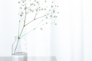 部屋の花瓶に飾ったかすみ草の一輪挿しのアップ