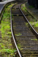 Obraz premium Eisenbahn Gleise Bahnsteig Bahnhof Holzschwellen Rost wachsenSchienen überwuchert Schwellen Stahl verrottet Natur Unkraut Strecke erneuern 