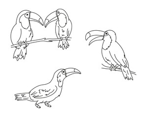 set of cartoon toucans black lines silhouettes, cute wild tropical bird for kids coloring book, decoration, editable vector illustration