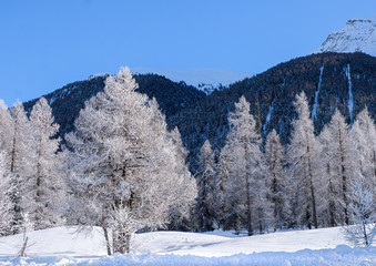 Obraz premium Wooden snow paradise 