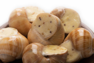 still life of stuffed snail sauce, on a white background