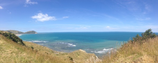 Panorama view of the blue Ocean from top of a hill with dry vegetation