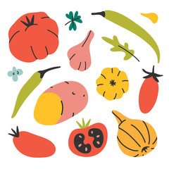 Vegetables set, isolated vector cliparts, vector illustrations of farming organic veggies, simple modern hand drawn drawing, tomato, potato and onion isolated on white, vegetable garden products
