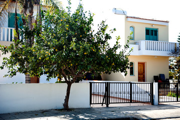 Traditional village street in Cyprus. White houses and lemon tree.