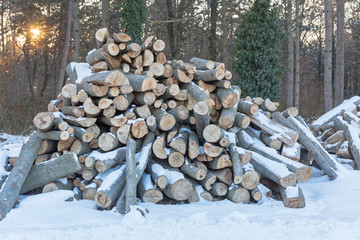 Fire Wood Woods Winter