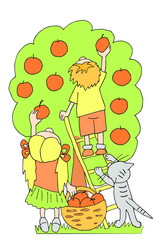 Fototapeta premium Children and cat picking apples in the garden. Vector cartoon illustration.